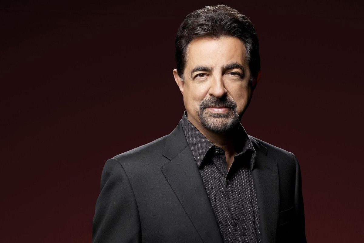 'Criminal Minds' Star It's Time for the Army to Have Its Own Museum